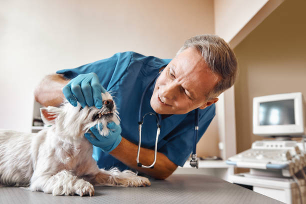Best Emergency Dental Clinic in ND